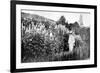 Claude Monet at Giverny, 1908-French Photographer-Framed Photographic Print