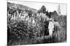 Claude Monet at Giverny, 1908-French Photographer-Mounted Photographic Print