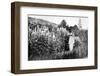 Claude Monet at Giverny, 1908-French Photographer-Framed Premium Photographic Print