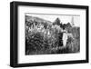Claude Monet at Giverny, 1908-French Photographer-Framed Premium Photographic Print