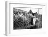 Claude Monet at Giverny, 1908-French Photographer-Framed Premium Photographic Print