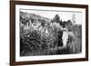 Claude Monet at Giverny, 1908-French Photographer-Framed Photographic Print