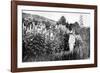 Claude Monet at Giverny, 1908-French Photographer-Framed Photographic Print