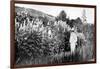 Claude Monet at Giverny, 1908-French Photographer-Framed Photographic Print