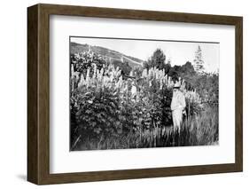 Claude Monet at Giverny, 1908-French Photographer-Framed Photographic Print