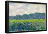 Claude Monet Field of Yellow Irises Art Print Poster-null-Framed Poster
