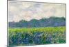 Claude Monet Field of Yellow Irises Art Print Poster-null-Mounted Poster