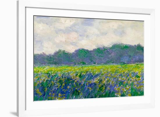 Claude Monet Field of Yellow Irises-Claude Monet-Framed Art Print