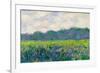 Claude Monet Field of Yellow Irises-Claude Monet-Framed Art Print