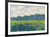 Claude Monet Field of Yellow Irises-Claude Monet-Framed Art Print