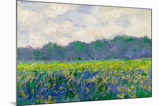 Claude Monet Field of Yellow Irises-Claude Monet-Mounted Art Print