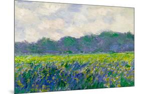 Claude Monet Field of Yellow Irises-Claude Monet-Mounted Art Print