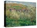 Stretched Canvas