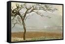 Canvas Black