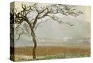 Stretched Canvas