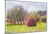 Claude Monet Heap of Hay in the Field Art Print Poster-null-Mounted Poster