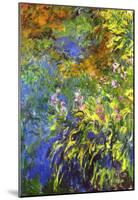 Claude Monet Iris at the Water-Lily Pond 2 Art Print Poster-null-Mounted Poster