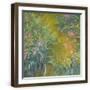 Brown Frame