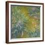 Brown Frame