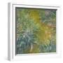 White Frame