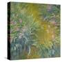 Stretched Canvas