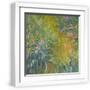 White Frame