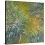 Stretched Canvas