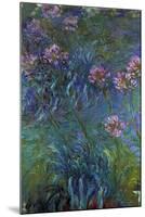 Claude Monet Jewelry Lilies-null-Mounted Art Print