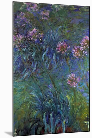 Claude Monet Jewelry Lilies-null-Mounted Art Print