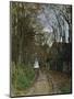 Wood Mount