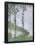 Essential Black