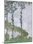 Wood Mount