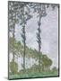 Wood Mount