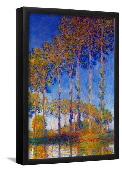Poster, , large
