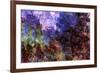 Claude Monet Roses at the Garden Side of Monet's House in Giverny-Claude Monet-Framed Art Print