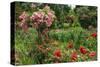 Claude Monet's Garden in Giverny, Department of Eure, Upper Normandy, France-null-Stretched Canvas