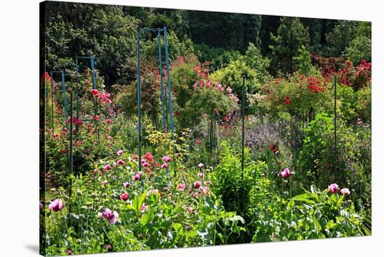 Claude Monet's Garden in Giverny, Department of Eure, Upper Normandy, France-null-Stretched Canvas