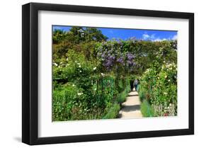 Claude Monet's Garden in Giverny, Department of Eure, Upper Normandy, France-null-Framed Art Print