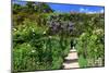 Claude Monet's Garden in Giverny, Department of Eure, Upper Normandy, France-null-Mounted Art Print