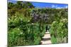 Claude Monet's Garden in Giverny, Department of Eure, Upper Normandy, France-null-Mounted Art Print