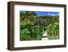 Claude Monet's Garden in Giverny, Department of Eure, Upper Normandy, France-null-Framed Art Print