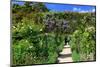 Claude Monet's Garden in Giverny, Department of Eure, Upper Normandy, France-null-Mounted Art Print