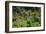 Claude Monet's Garden in Giverny, Department of Eure, Upper Normandy, France-null-Framed Art Print