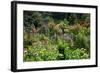 Claude Monet's Garden in Giverny, Department of Eure, Upper Normandy, France-null-Framed Art Print