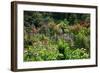 Claude Monet's Garden in Giverny, Department of Eure, Upper Normandy, France-null-Framed Art Print