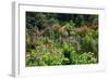 Claude Monet's Garden in Giverny, Department of Eure, Upper Normandy, France-null-Framed Art Print