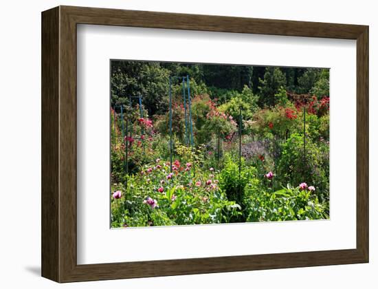 Claude Monet's Garden in Giverny, Department of Eure, Upper Normandy, France-null-Framed Art Print
