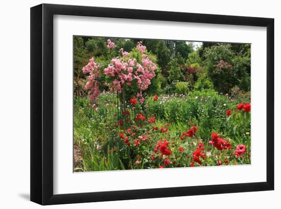 Claude Monet's Garden in Giverny, Department of Eure, Upper Normandy, France-null-Framed Art Print