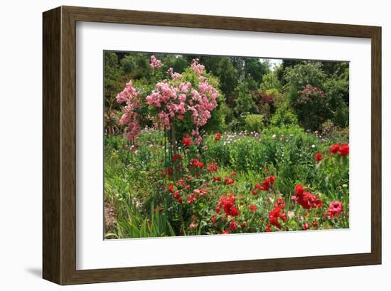 Claude Monet's Garden in Giverny, Department of Eure, Upper Normandy, France-null-Framed Art Print