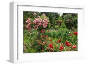 Claude Monet's Garden in Giverny, Department of Eure, Upper Normandy, France-null-Framed Art Print